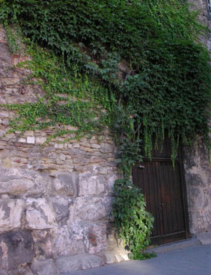 Aufhauser Hof レーゲンスブルク エクステリア 写真